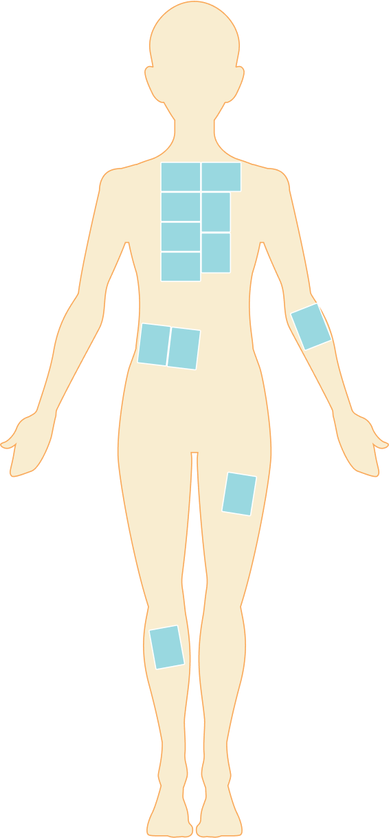 sheets-diagram-mobile